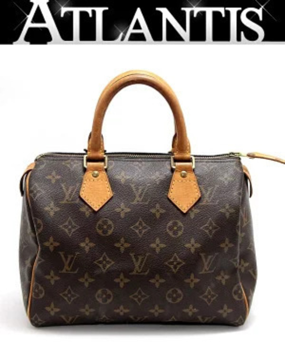 Louis Vuitton Speedy Handbag Monogram